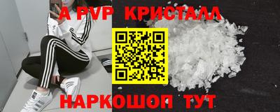 a pvp Камышлов