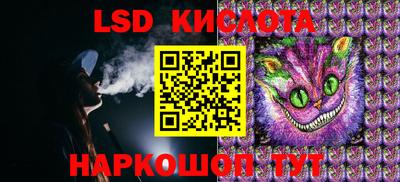 a pvp Камышлов