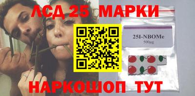 a pvp Камышлов