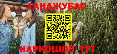 a pvp Камышлов