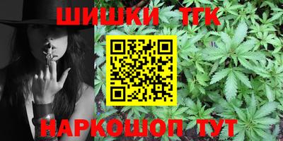 a pvp Камышлов