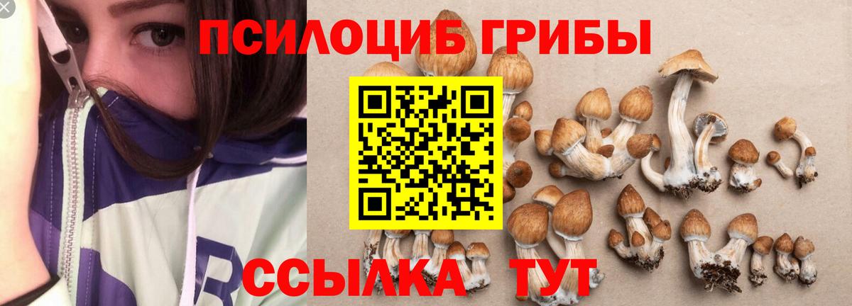 Кирово-Чепецк  сколько стоит  Вход с VPN  Галлюциногенные грибы GOLDEN TEACHER 